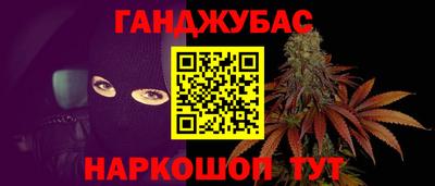 крисы Нальчик