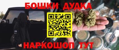крисы Нальчик
