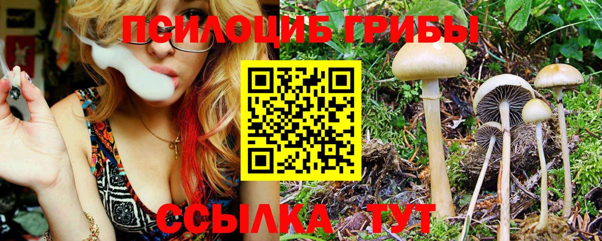 Галлюциногенные грибы GOLDEN TEACHER Туапсе