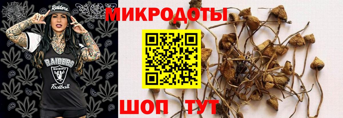 Туапсе  Псилоцибиновые грибы мухоморы  Вход с VPN 